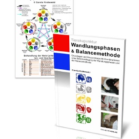 Wandlungsphasen & Balancemethode