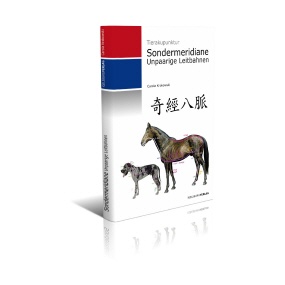 Sondermeridiane - Unpaarige Leitbahnen