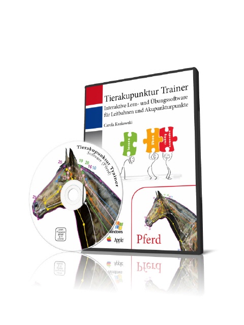 Tierakupunktur Trainer (Pferd)