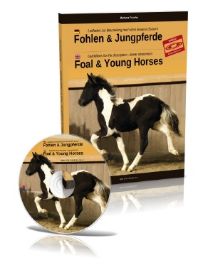 Fohlen & Jungpferde