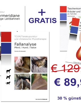 BUNDLE Fortgeschrittene THP�s