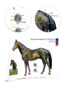 TAFEL Pferd  9