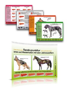 KALENDER Pulsqualit&auml;ten