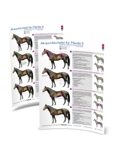 TAFEL Pferd  5 & 6