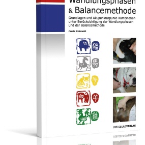 WANDLUNGSPHASEN & BALANCEMETHODE