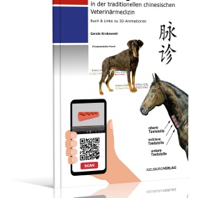 PULSDIAGNOSE IN DER TCVM